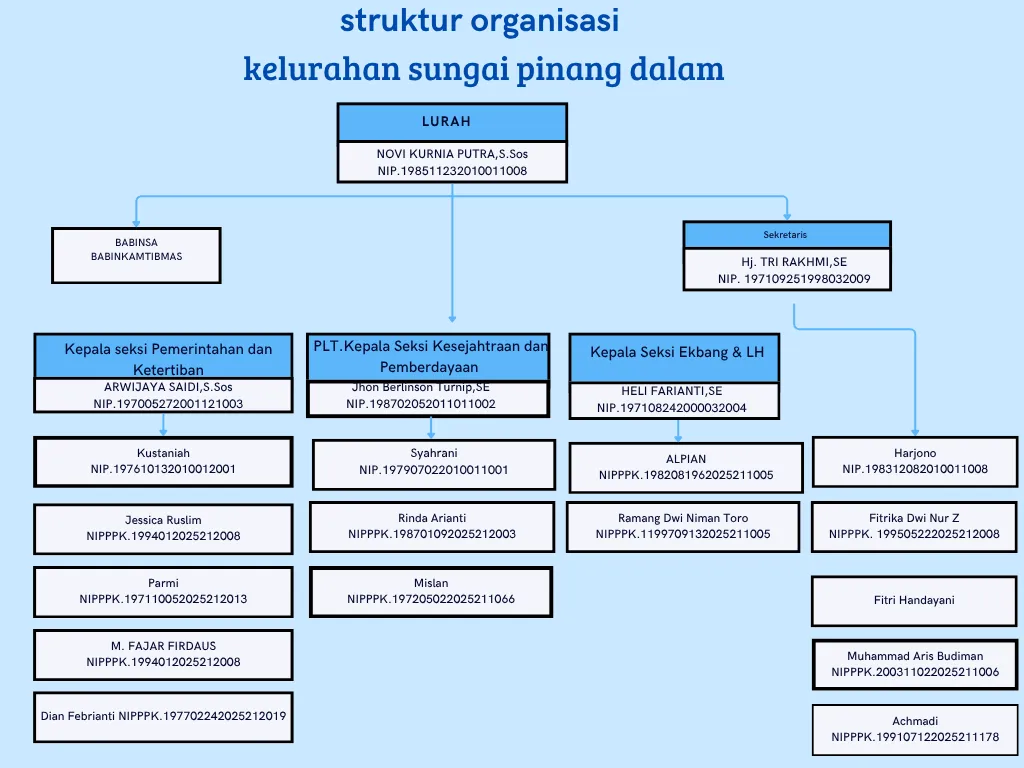 Struktur Organisasi Kelurahan Sungai Pinang Dalam