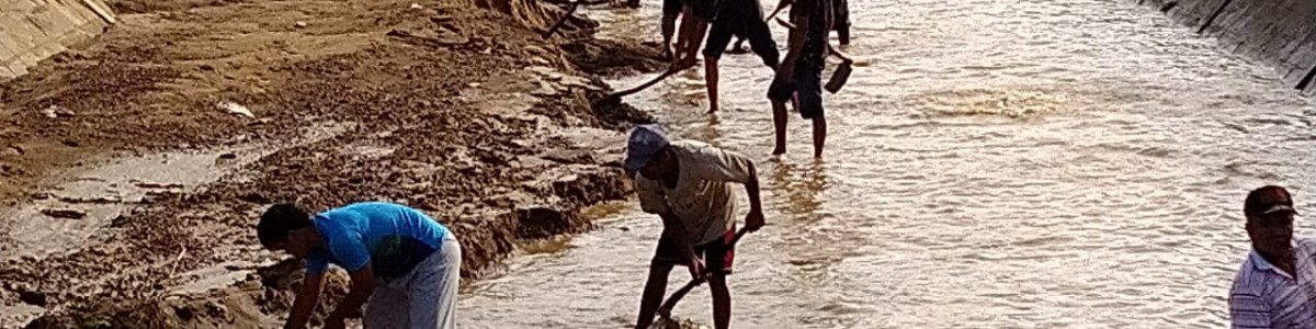 Banner 8