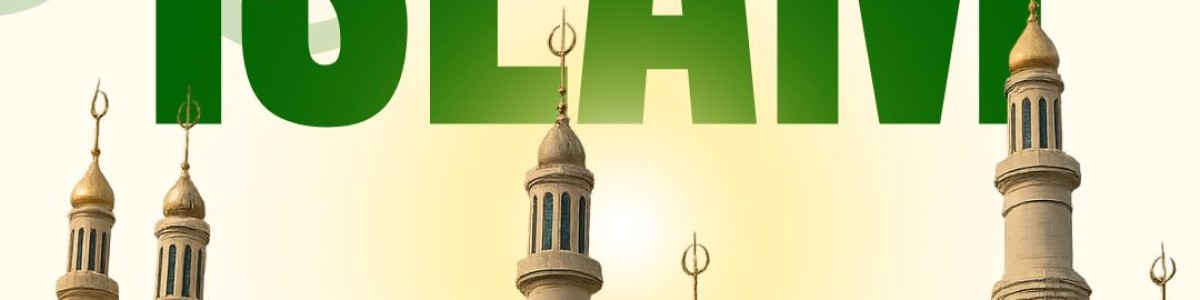 Banner 51