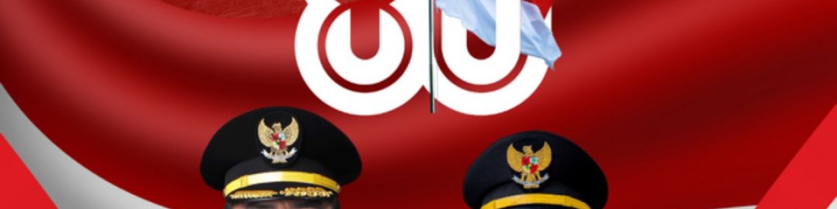 Banner 29