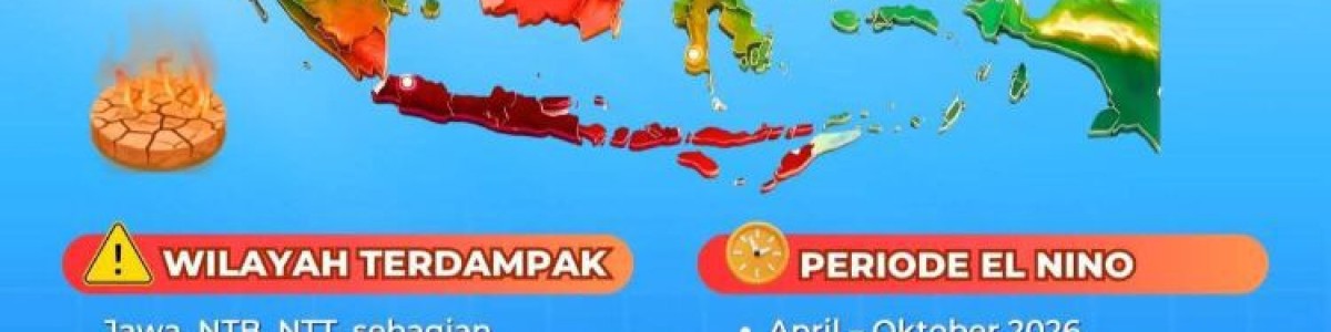 Banner 50