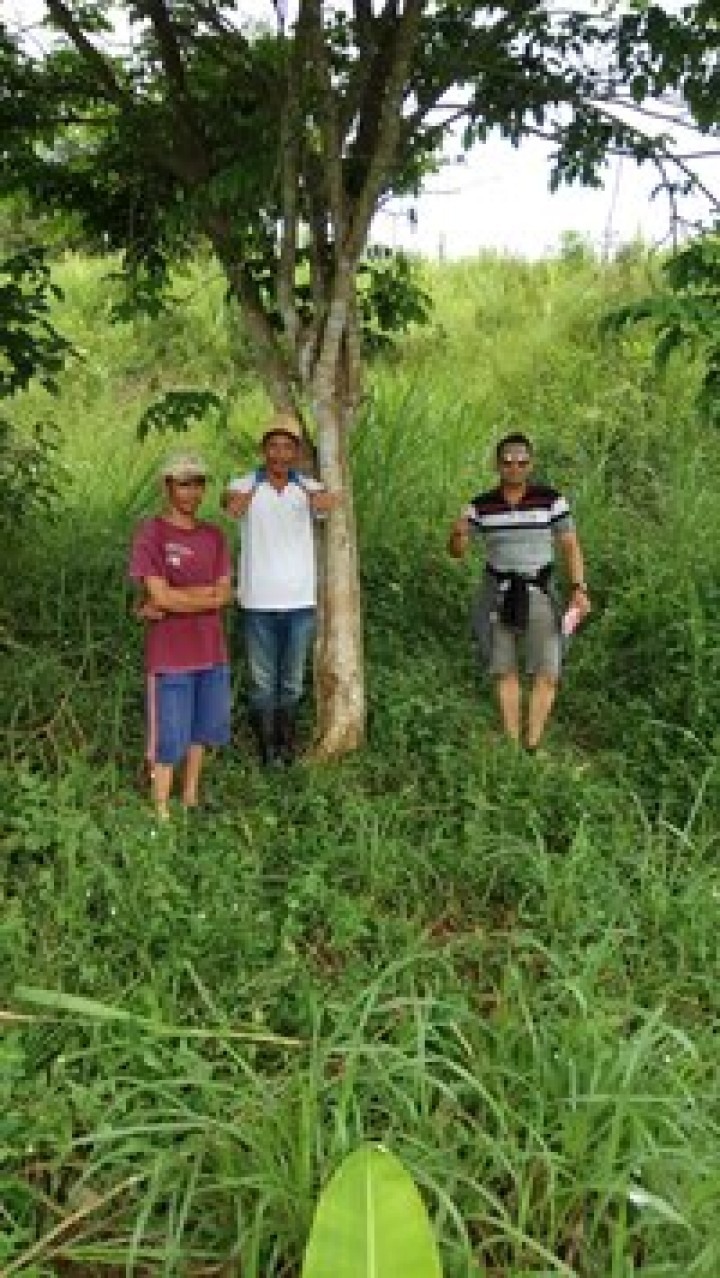 Kegiatan Peninjauan Lokasi Tanah Di Kelurahan Budaya Pampang