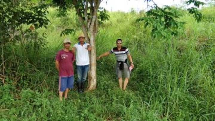 Kegiatan Peninjauan Lokasi Tanah Di Kelurahan Budaya Pampang