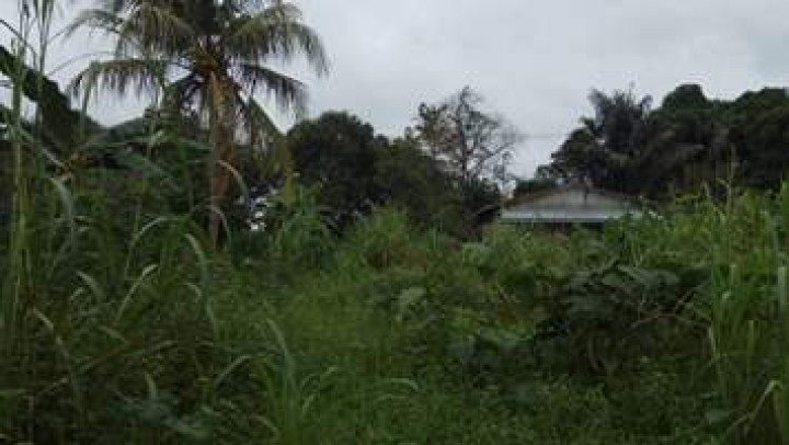 Kegiatan Peninjauan Lokasi Tanah Di Kelurahan Budaya Pampang