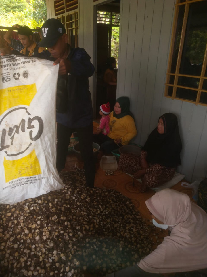 Pelatihan Kupas Kemiri (RT. 06) Pada Kegiatan Pemberdayaan Masyarakat (Pro Bebaya) Kelurahan Budaya Pampang Tgl. 17 Juli 2022