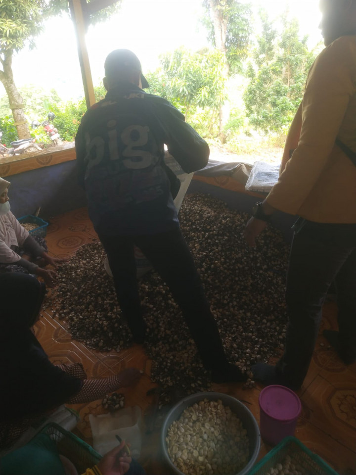 Pelatihan Kupas Kemiri (RT. 06) Pada Kegiatan Pemberdayaan Masyarakat (Pro Bebaya) Kelurahan Budaya Pampang Tgl. 17 Juli 2022