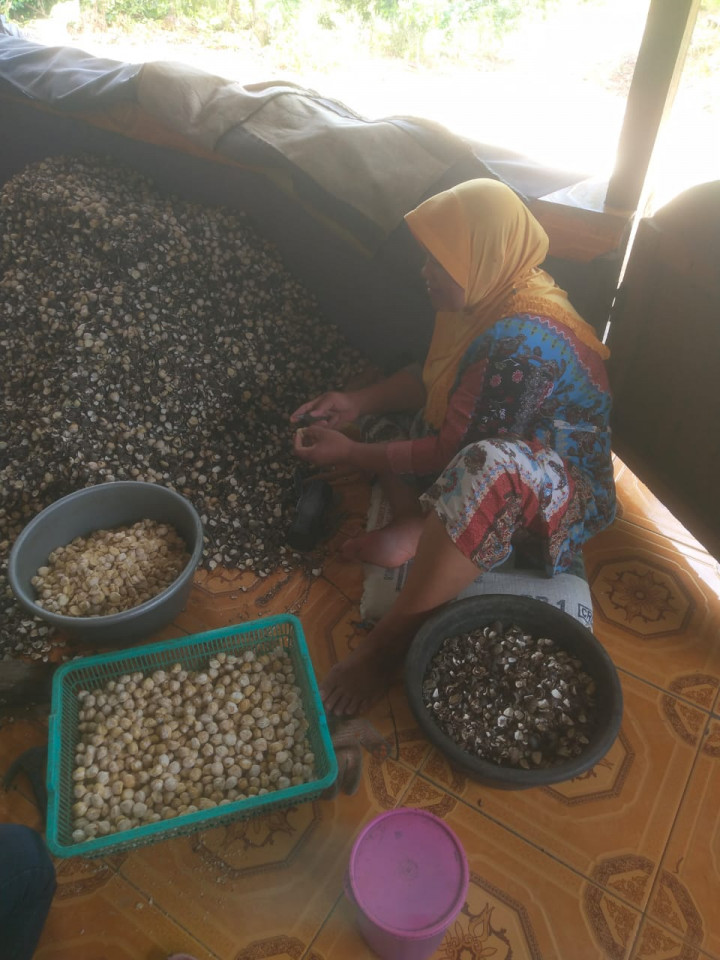Pelatihan Kupas Kemiri (RT. 06) Pada Kegiatan Pemberdayaan Masyarakat (Pro Bebaya) Kelurahan Budaya Pampang Tgl. 17 Juli 2022