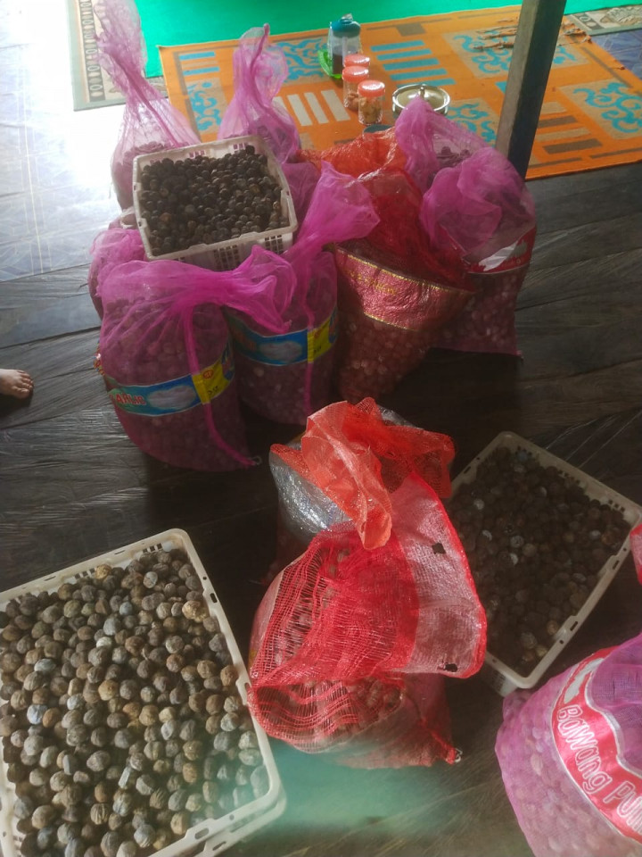 Pelatihan Kupas Kemiri (RT. 06) Pada Kegiatan Pemberdayaan Masyarakat (Pro Bebaya) Kelurahan Budaya Pampang Tgl. 17 Juli 2022