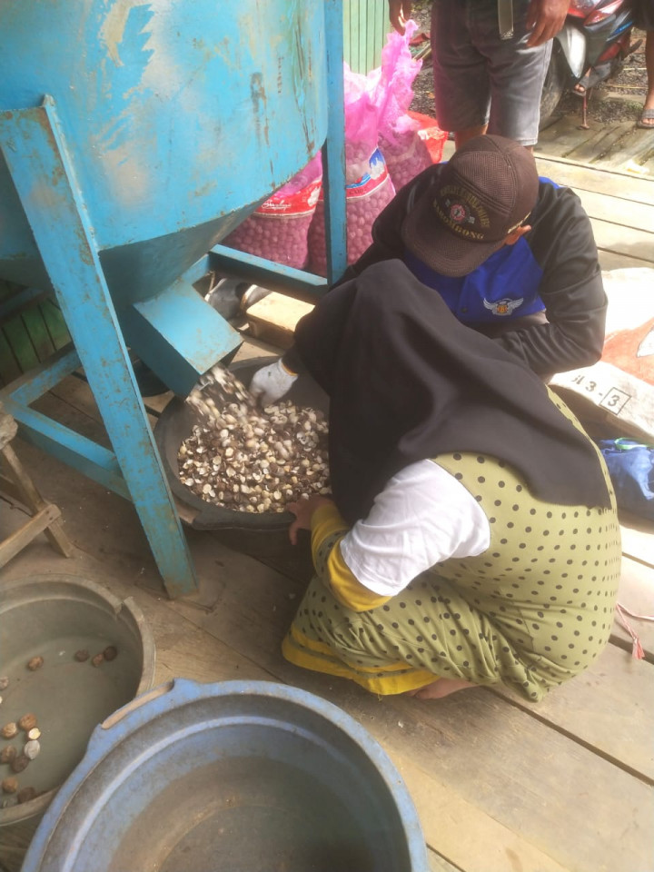Pelatihan Kupas Kemiri (RT. 06) Pada Kegiatan Pemberdayaan Masyarakat (Pro Bebaya) Kelurahan Budaya Pampang Tgl. 17 Juli 2022