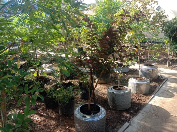 KAMPUNG BALAI