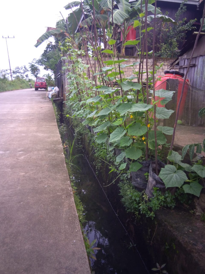KAMPUNG BALAI