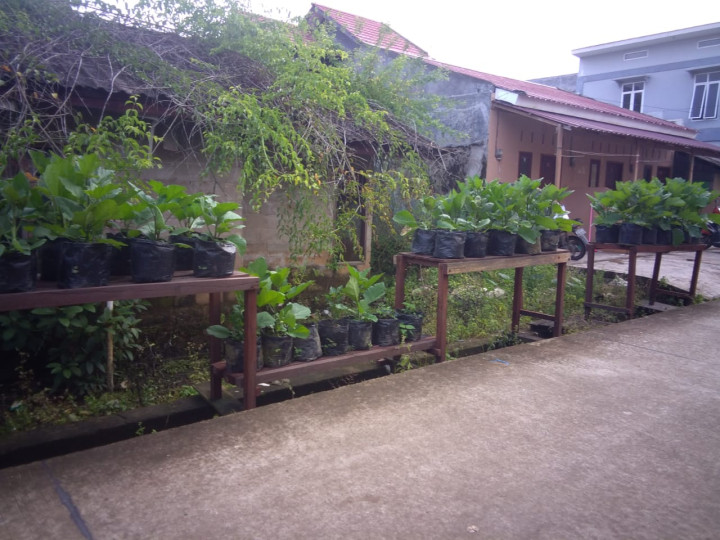 KAMPUNG BALAI