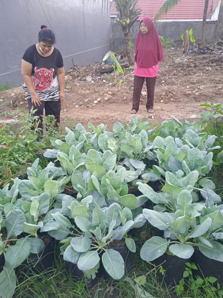 KAMPUNG BALAI