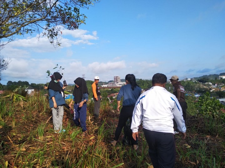 Kegiatan Penanaman dengan Mahasiswa KKN 44 unmul reguler