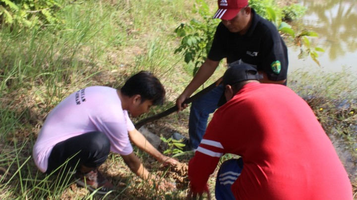 Penanaman Bibit Pohon Semusim Oleh Anak KKN Seluruh Kecamatan Samarinda Seberang