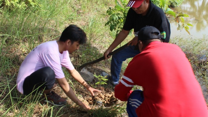 Penanaman Bibit Pohon Semusim Oleh Anak KKN Seluruh Kecamatan Samarinda Seberang