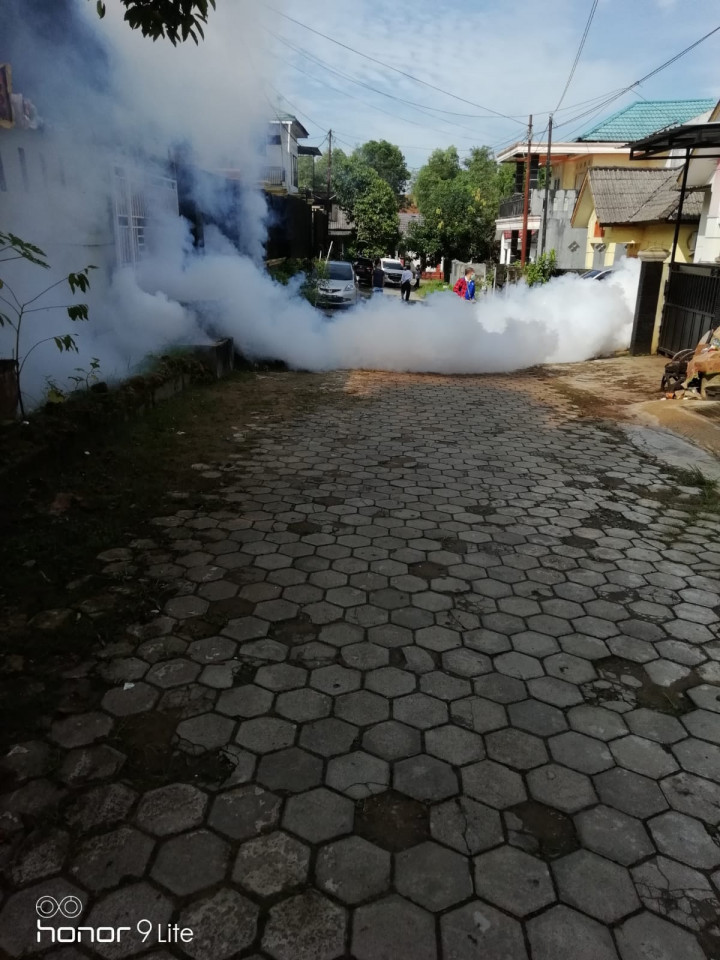 FOGGING MEMBASMI DEMAM BERDARAH