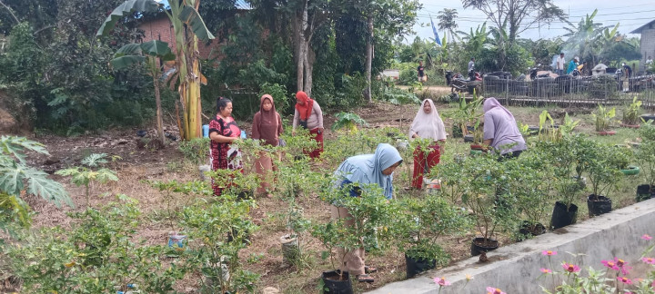 Kegiatan Dasawisma Kelurahan Handil Bakti