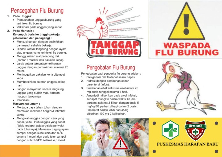 Media Edukasi Konsen ++