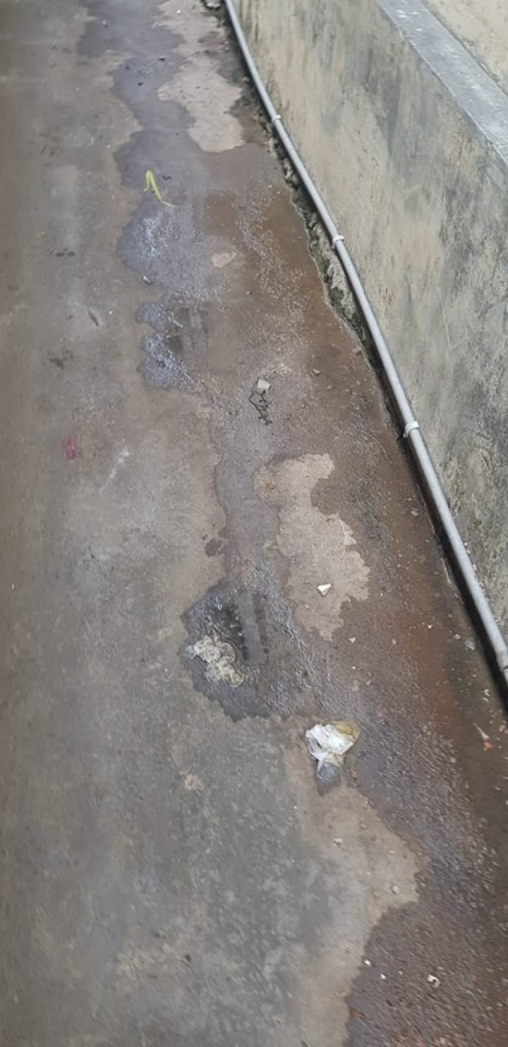 16 Oktober 2019 ... Peninjauan Lapangan oleh Kasi Pemerintah dan Trantib, Kasi Ekobang serta Babinsa, Bhabinkamtibmas dan satpol PP Kel. Karang Anyar, Terkait laporan warga mengenai masalah kebersihan di Jl. Cendana RT 12.