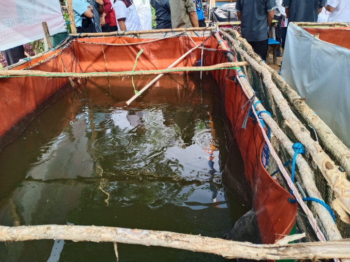 Samarinda, 07 April 2021 Menghadiri penanaman bibit pohon pepaya dan ikan lele di kampung tangguh Loa Bakung