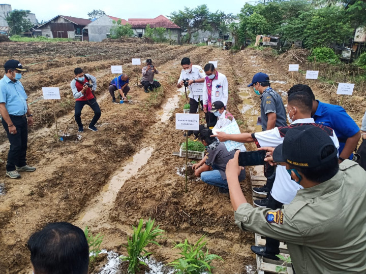 Samarinda, 07 April 2021 Menghadiri penanaman bibit pohon pepaya dan ikan lele di kampung tangguh Loa Bakung