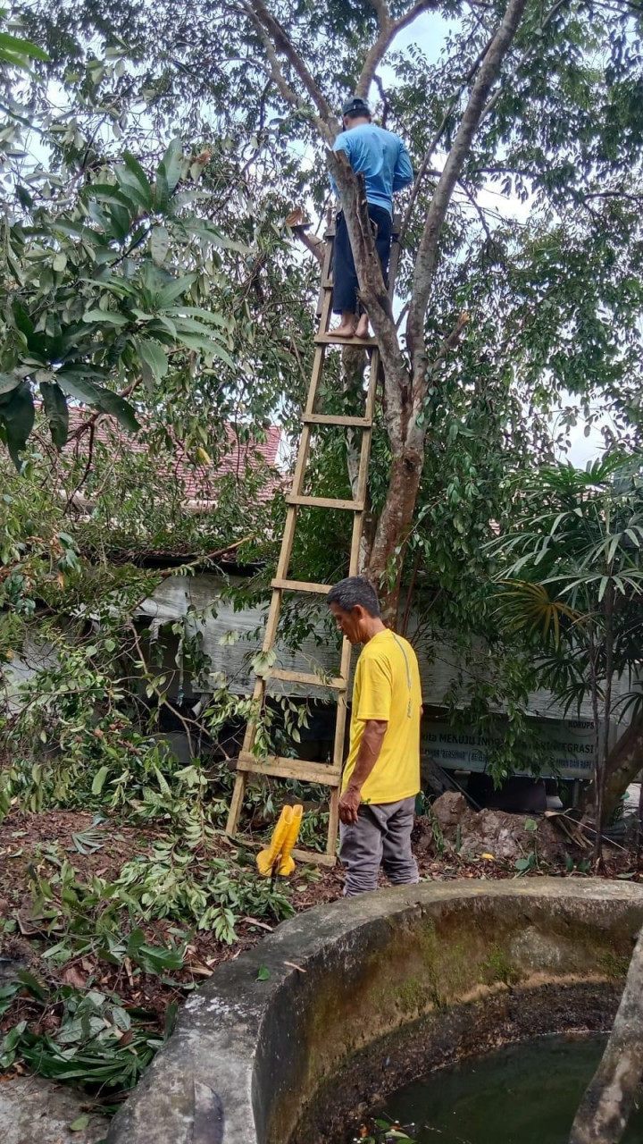 05 Mei 2023 ...kegiatan pembersihan lingkungan kantor kelurahan karang anyar  l