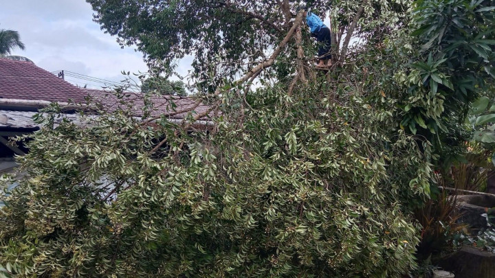 05 Mei 2023 ...kegiatan pembersihan lingkungan kantor kelurahan karang anyar  l