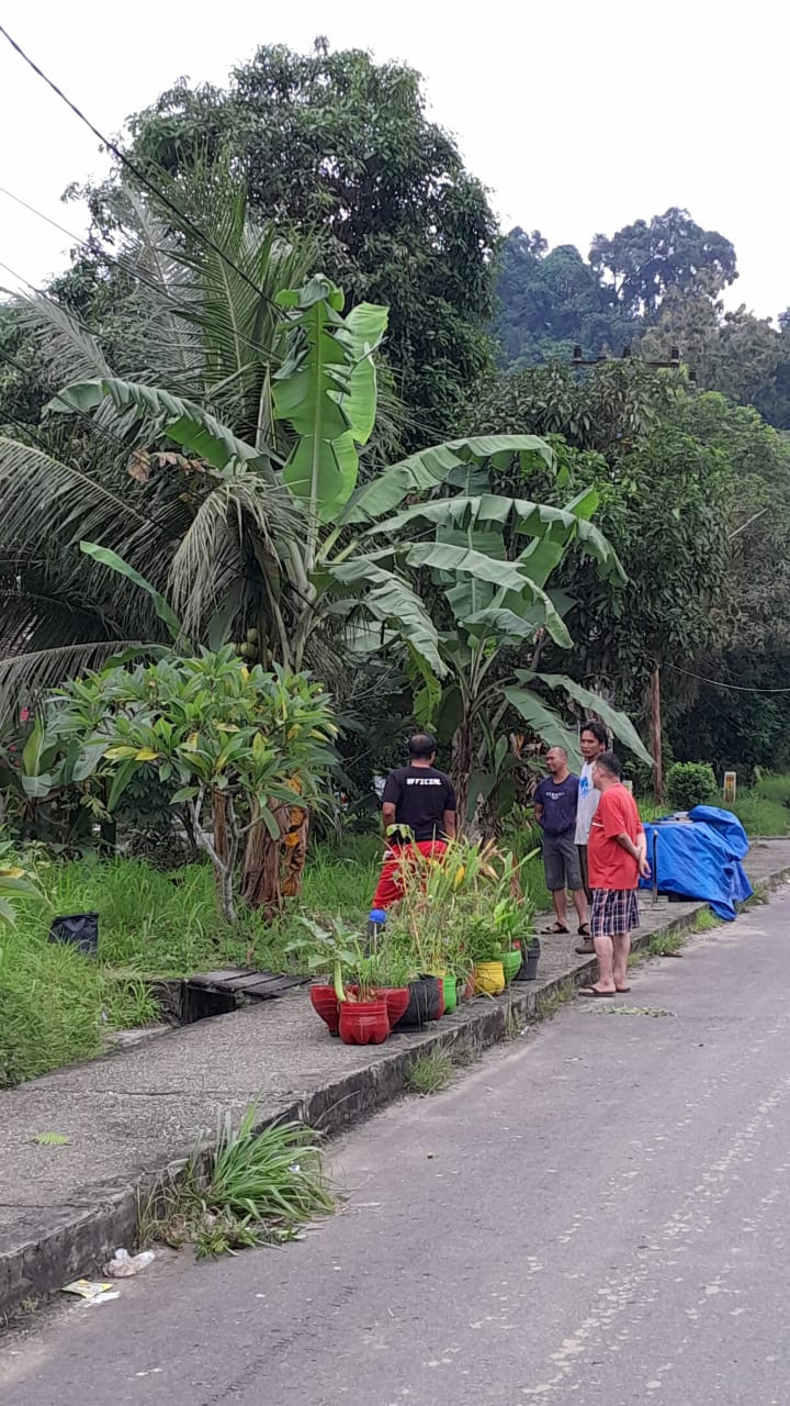 Minggu, 16 Juli 2023 Gotong royong sekaligus penyerahan bibit tanaman trambesi dan mangga di RT.02