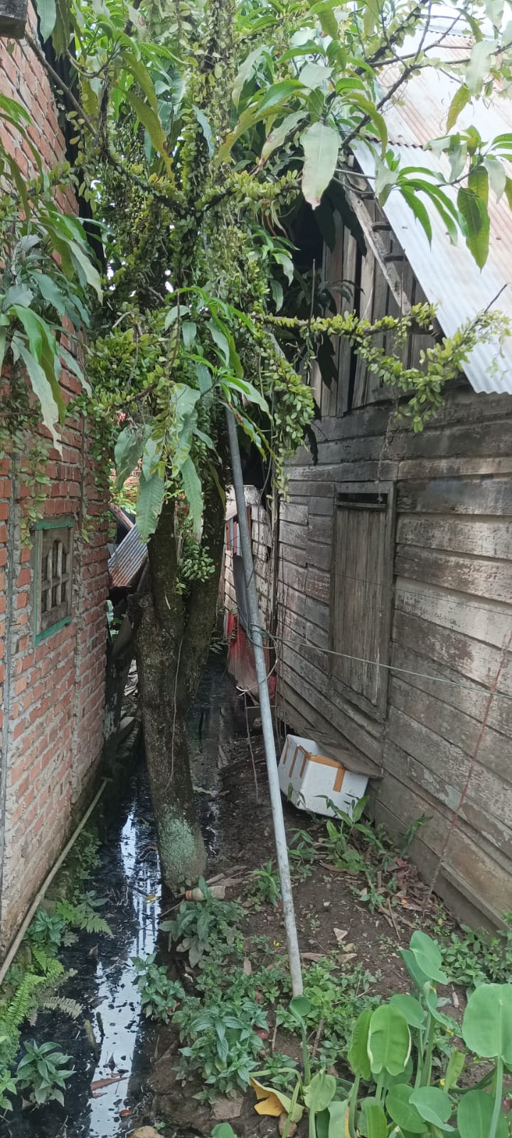 Selasa, 28 November 2023, Kasie Ekobang bersama staf mendampingi Pihak Perkim Kota Samarinda untuk m3ninjau kondisi rumah tidak layak huni di RT. 010, 013, 018.