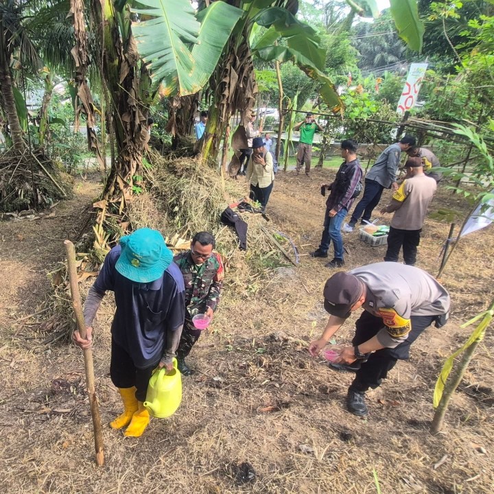 Kamis, 25 September 2025  Kegiatan penanaman jagung dari Polsek Sungai Kunjang di lahan tidur Kantor Kelurahan Karang Anyar dalam rangka mendukung program Ketahanan Pangan Nasional