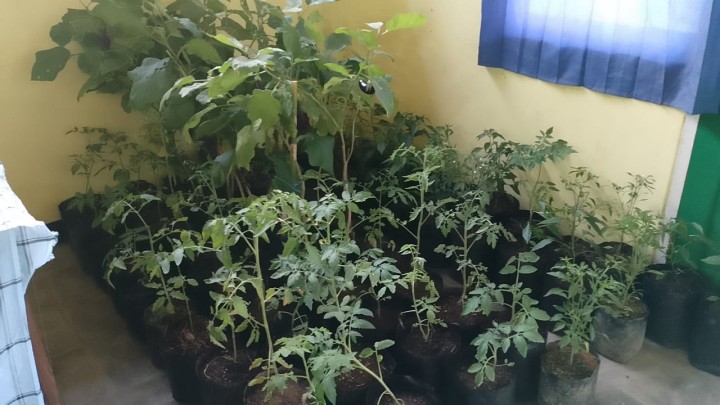 Giat Probebaya 2024 Kelurahan Loa Buah (Pelatihan Holtikultura Pokmas Bersama)