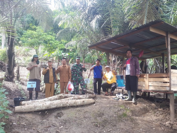 Panen Tanaman di Kebun Binaan Karang Taruna Loa Buah