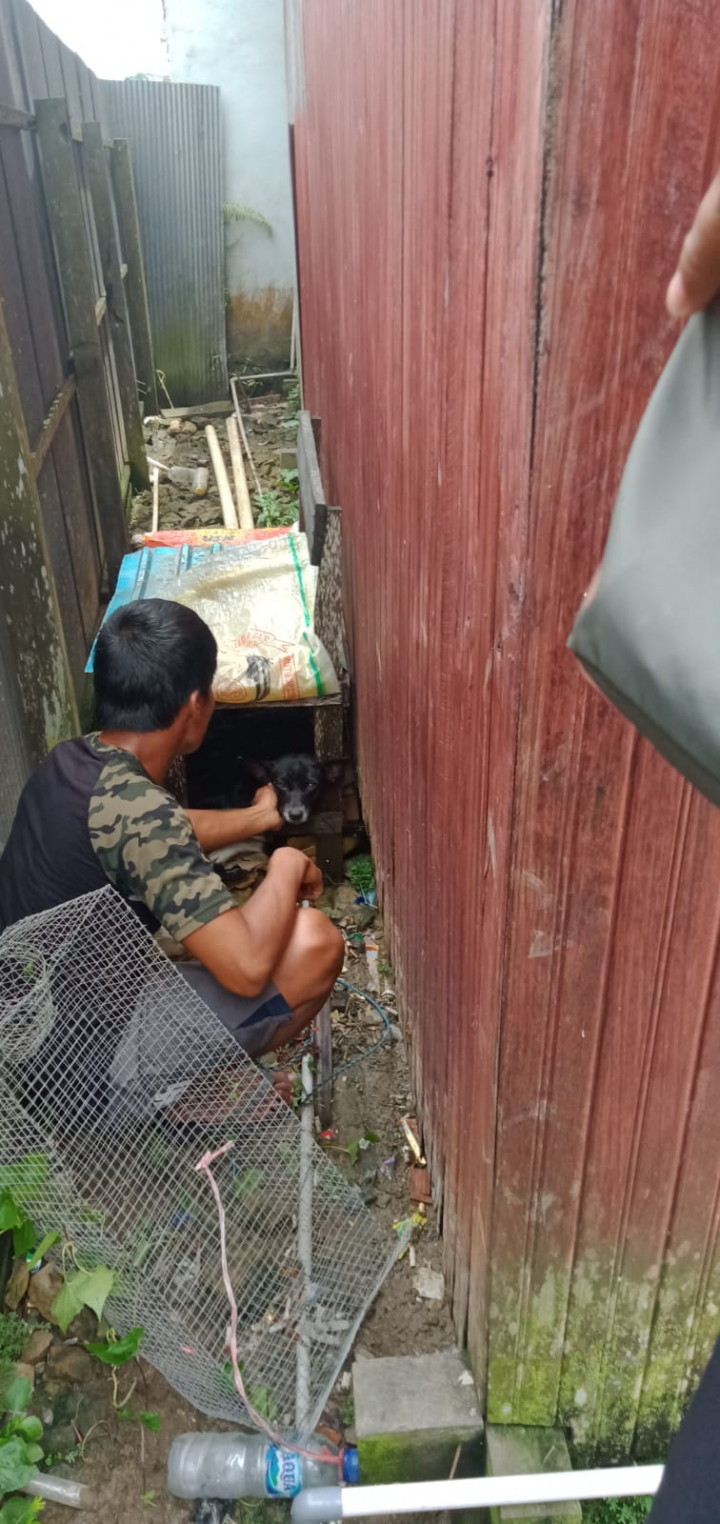 Pembinaan oleh Tim Kesehatan Hewan dari bidang Peternakan Dinas Pertanian Kota Samarinda mendata dan melakukan vaksinasi Rabies bagi warga yang memiliki peliharaan hewan Anjing dan Monyet, Selasa 22 Maret 2022