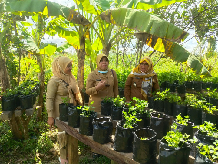 Kunjungan Tim TWAP Kota Samarinda ke Kelurahan Lok Bahu dalam rangka BUMRT, 28 Juni 2022