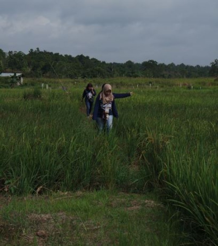Kegiatan