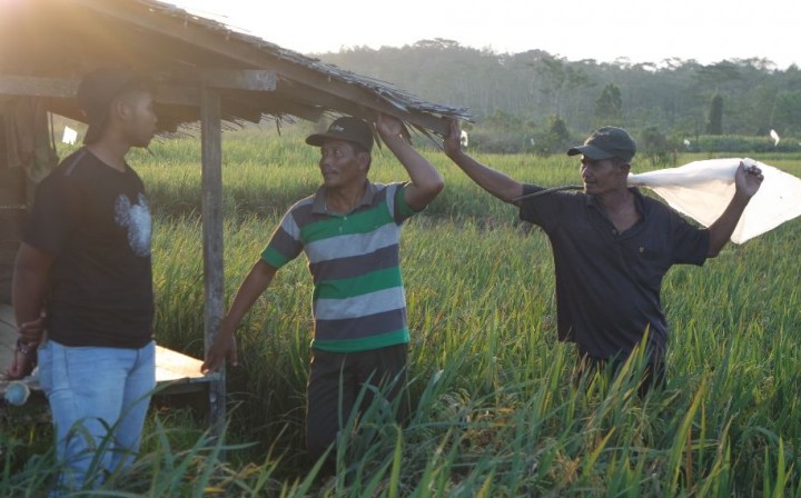 Kegiatan