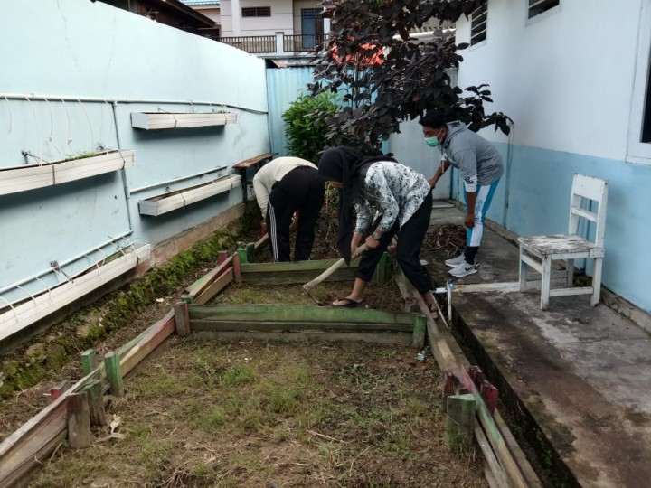 Proses penanaman Toga