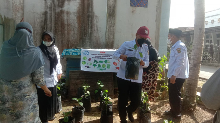 Bantuan BANK INDONESIA (BI) 100 Pohon Bibit Cabe Untuk Kampung KB Mangkupalas Kencana