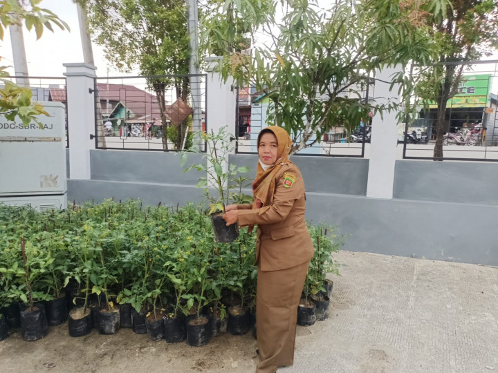 Bantuan dari Dinas Pertanian, 90pohon bibit lombok 55pohon bibit tomat diserahkan Kepada tim penggerak PKK untuk Mengatasi Dampak Inflasi