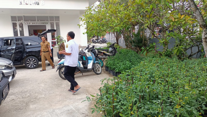 Bantuan dari Dinas Pertanian, 90pohon bibit lombok 55pohon bibit tomat diserahkan Kepada tim penggerak PKK untuk Mengatasi Dampak Inflasi