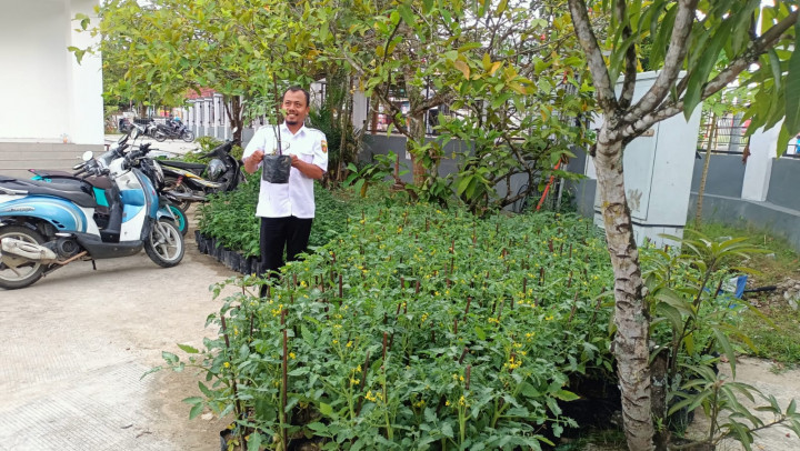 Bantuan dari Dinas Pertanian, 90pohon bibit lombok 55pohon bibit tomat diserahkan Kepada tim penggerak PKK untuk Mengatasi Dampak Inflasi