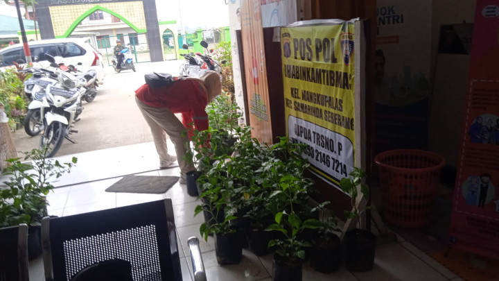 Bantuan dari Dinas Pertanian, 90pohon bibit lombok 55pohon bibit tomat diserahkan Kepada tim penggerak PKK untuk Mengatasi Dampak Inflasi