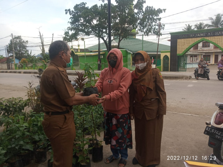 Bantuan dari Dinas Pertanian, 90pohon bibit lombok 55pohon bibit tomat diserahkan Kepada tim penggerak PKK untuk Mengatasi Dampak Inflasi