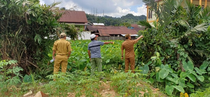 Kegiatan LURAH,SEKLUR dan KASI