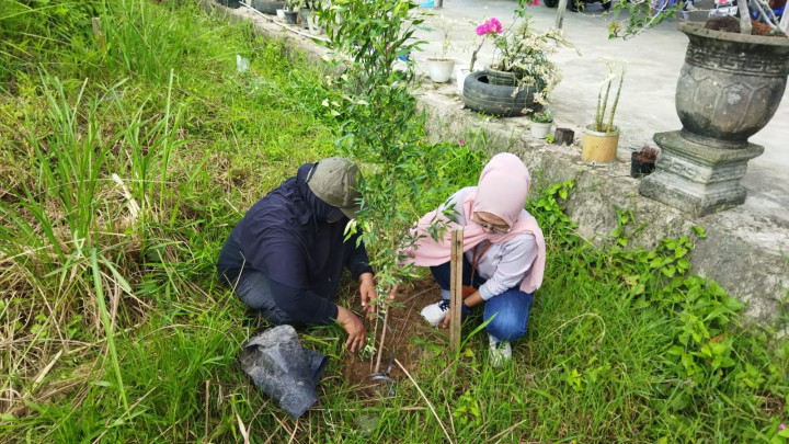 Penanaman 1000 Pohon Produktif