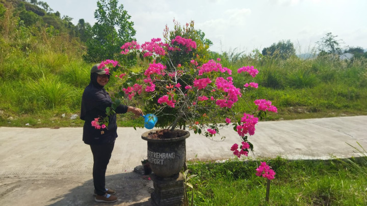 Penanaman 1000 Pohon Produktif