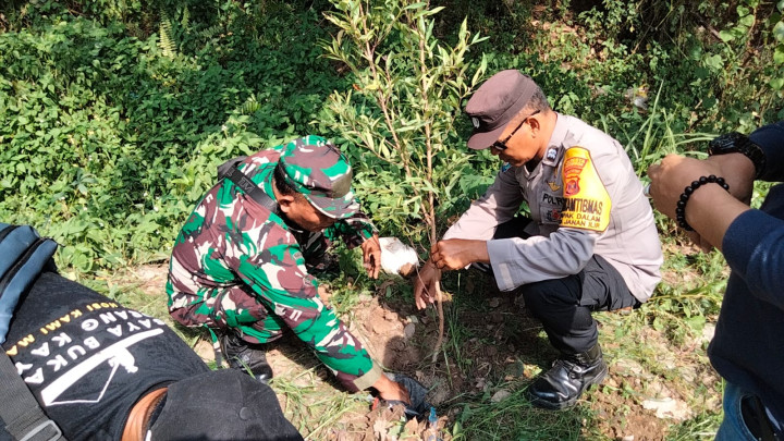 Penanaman 1000 Pohon Produktif