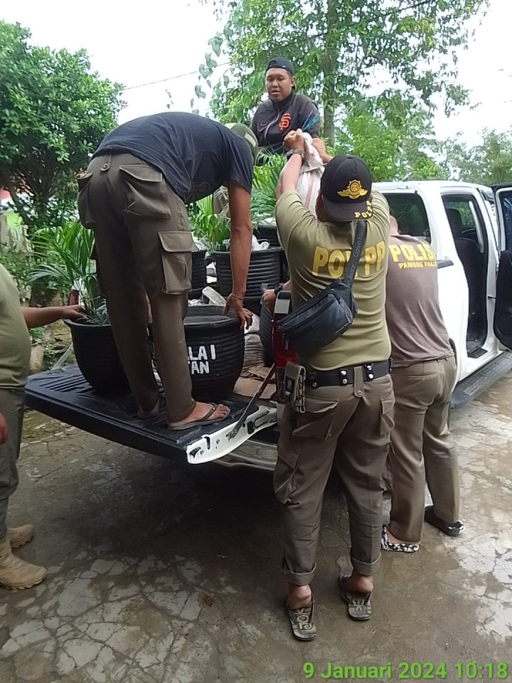 Pendistribusian Pot dan Tanaman untuk Tim Adipura Kecamatan Sambutan (Selasa, 9 Januari 2024)