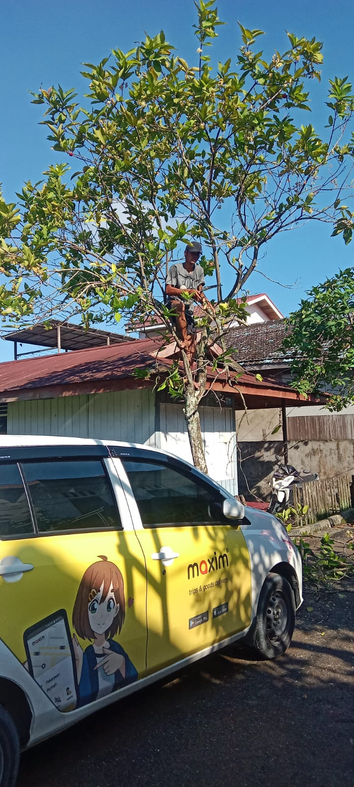Kegiatan Kerja Bakti di Lingkungan Kelurahan Selili Tahun 2023